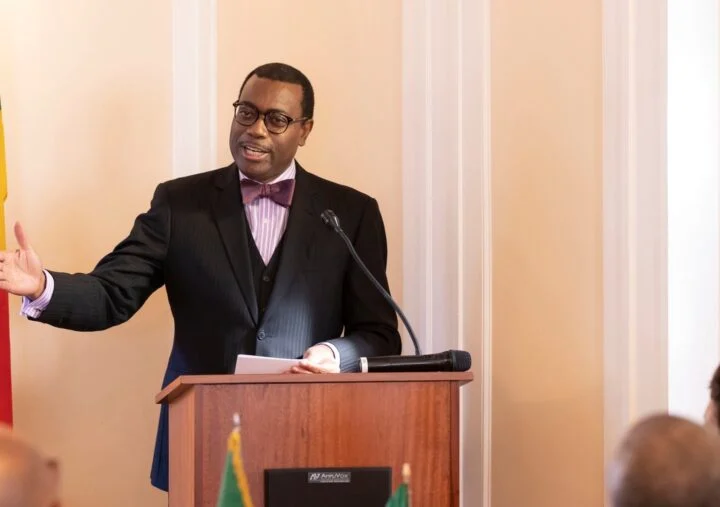 Russia-Ukraine war: Bread now too costly for many Africans, says Akinwumi Adesina￼